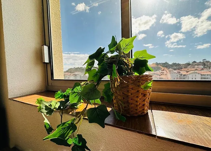 Free Parking, Proche Gare, Plage, Centre, Netflix * Arcachon